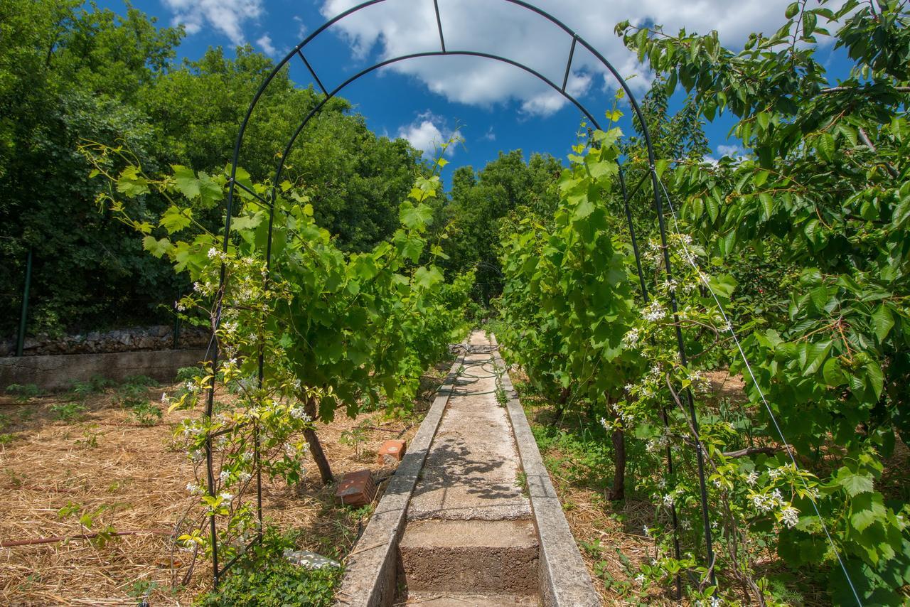 Organic Gardens Villa Crikvenica Exterior foto